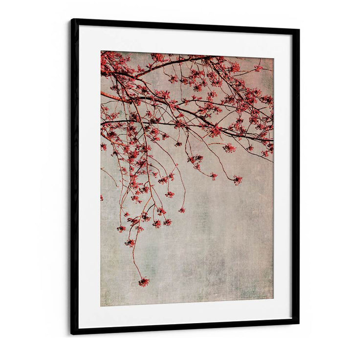 Elegant BRANCHES, FLORAL FLOWER PAINTINGS featuring delicate blooms, perfect for enhancing any living space's decor.