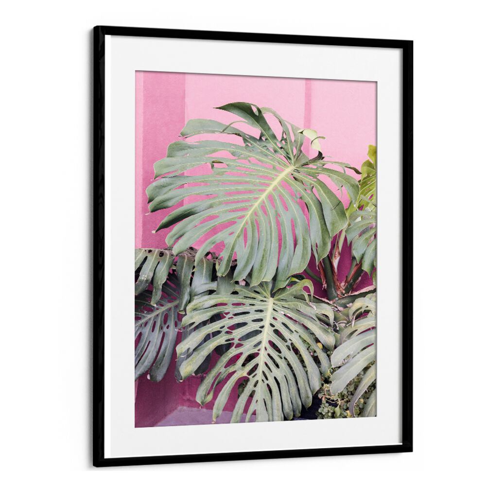 Lush MONSTERA LEAF LA MURALLA, FLORAL FLOWER PAINTINGS elevate your decor with tropical beauty and botanical elegance.