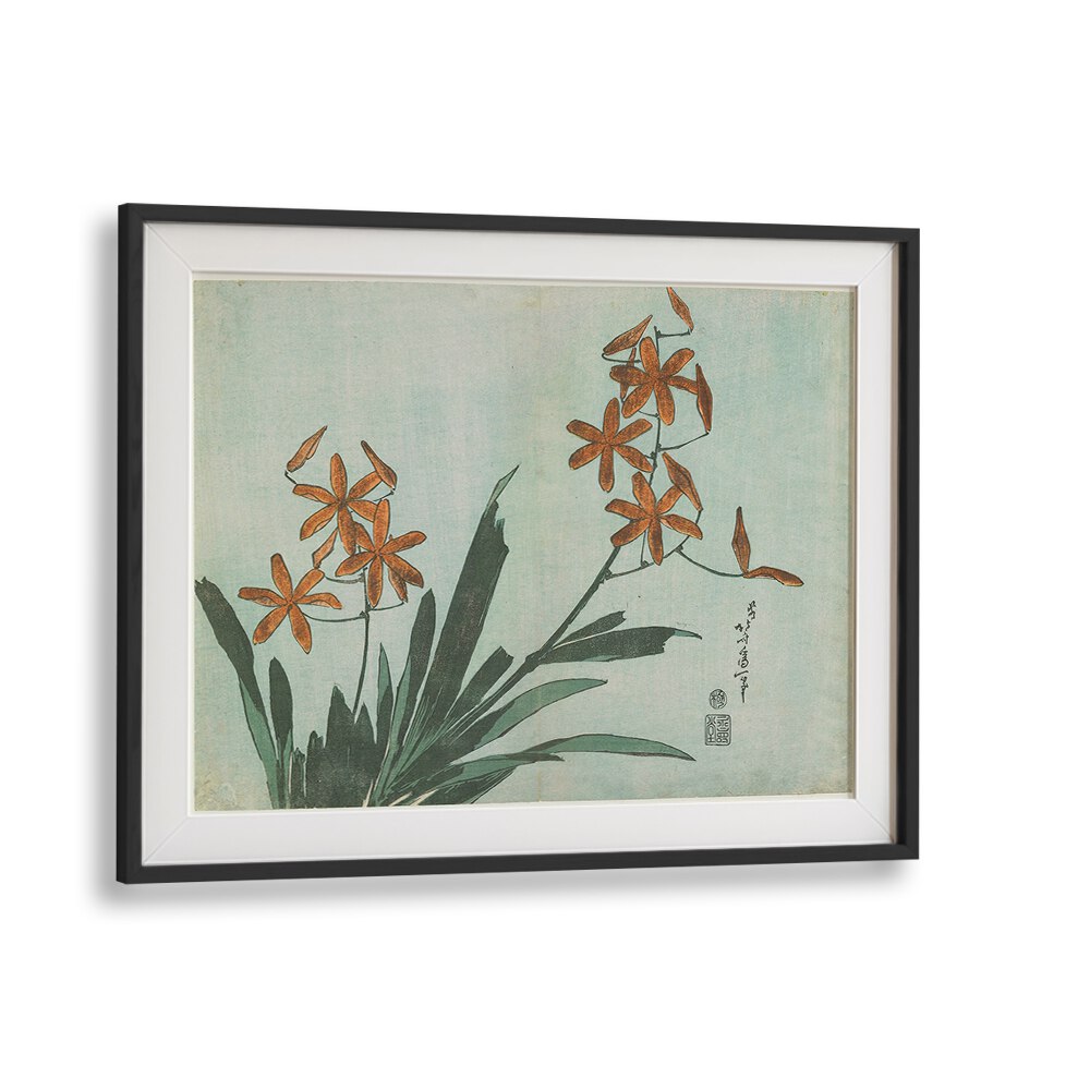 BLACKBERRY LILY , VINTAGE PAINTINGS