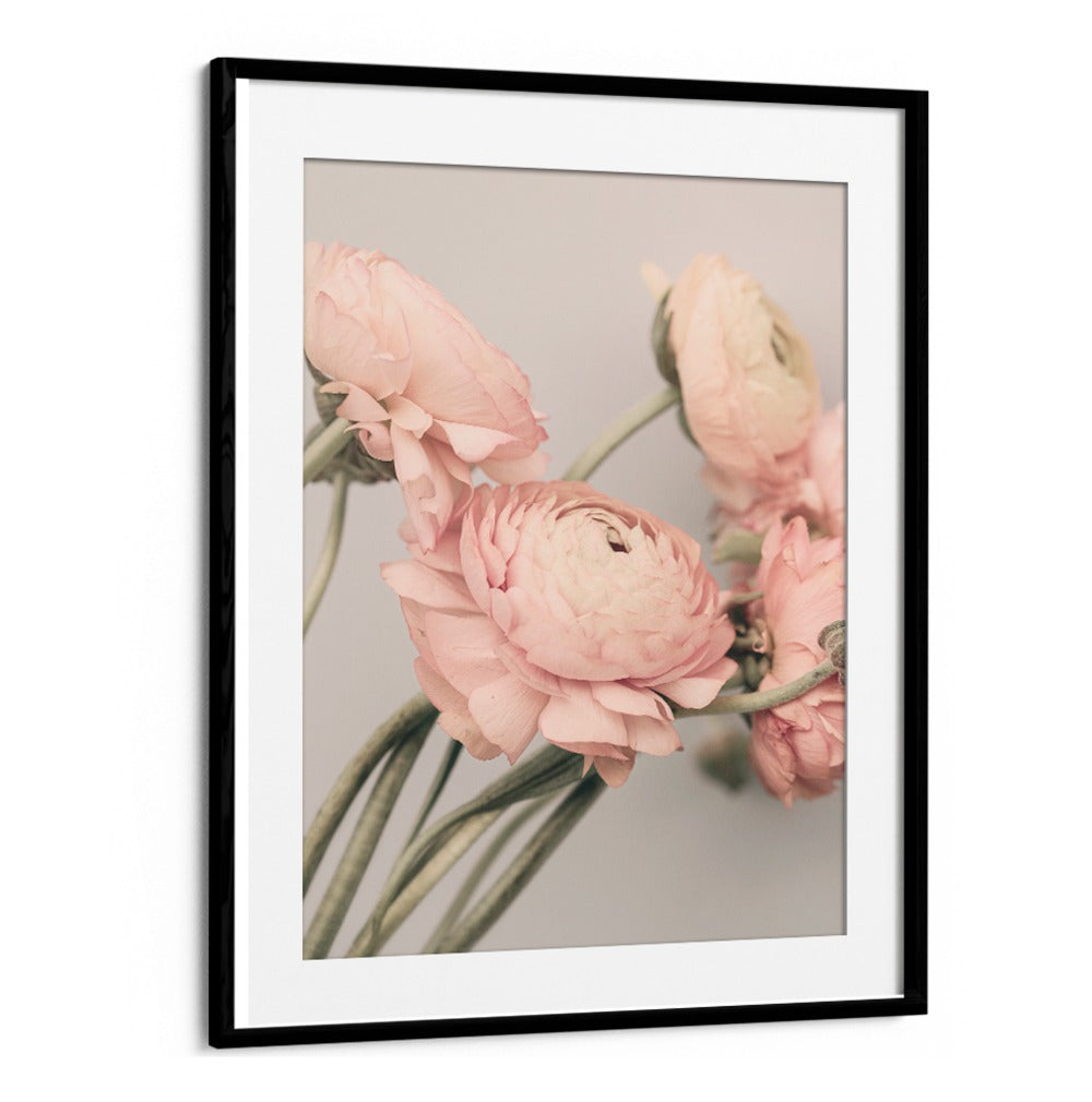 Beautifully framed ROSE III, FLORAL FLOWER PAINTINGS showcasing delicate pink blooms for elegant home decor.