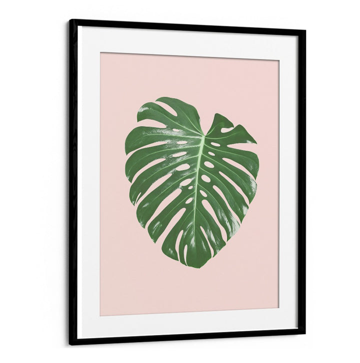 Elegant MONSTERA LEAF BLUSH, FLORAL FLOWER PAINTINGS showcasing tropical charm on a soft pink background.