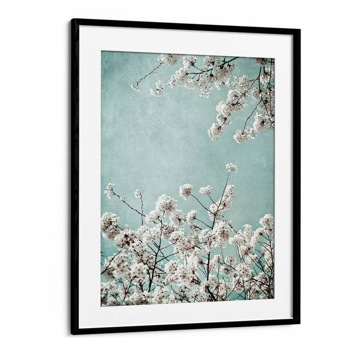 Vibrant SPRING TIME, FLORAL FLOWER PAINTINGS featuring delicate blossoms against a serene blue backdrop, perfect for decor.