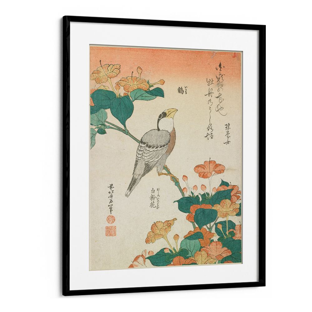HAWFINCH AND MARVEL-OF-PERU , VINTAGE PAINTINGS