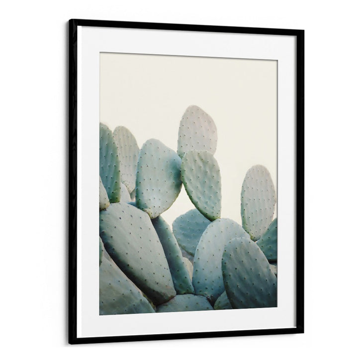 Vibrant PASTEL CACTI, FLORAL FLOWER PAINTINGS perfect for brightening home decor and appealing to plant lovers.