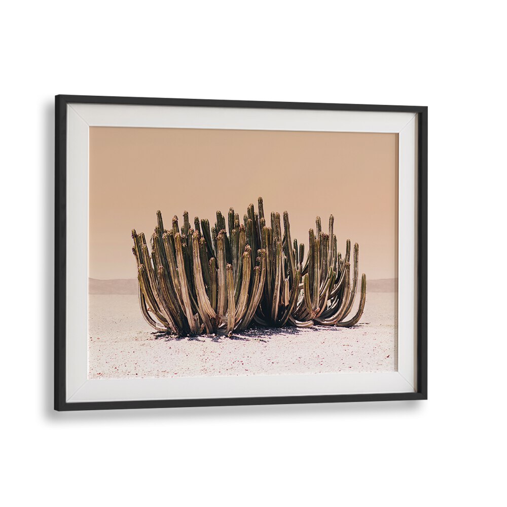 Vibrant PEACH SKY CACTUS, COWBOY art piece enhancing modern Americana decor with stunning colors and unique beauty.