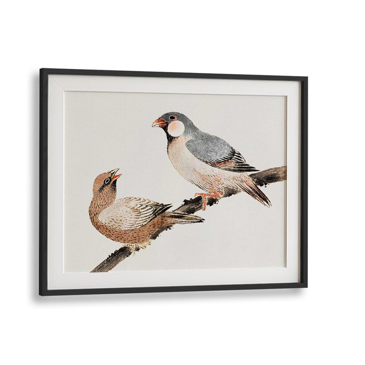 BIRDS FROM ALBUM OF SKETCHES (1814) , VINTAGE PAINTINGS