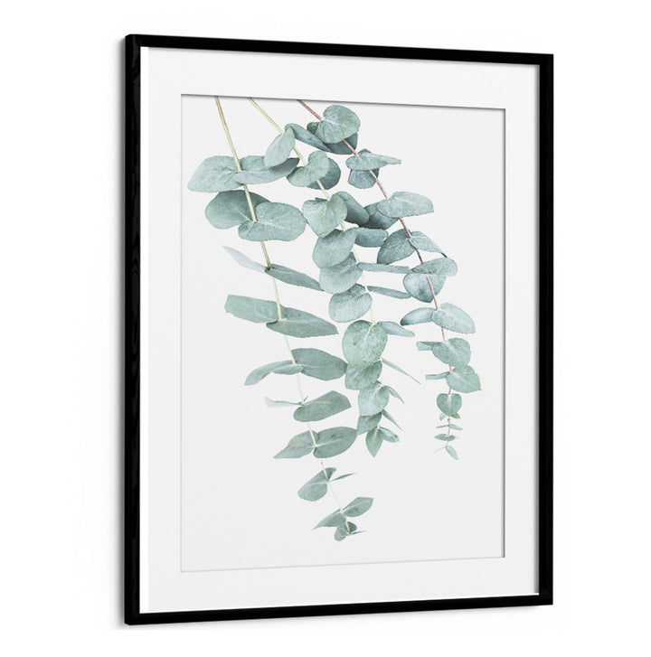 EUCALYPTUS I, FLORAL FLOWER PAINTINGS showcasing elegant eucalyptus leaves in a framed design, perfect for home decor.