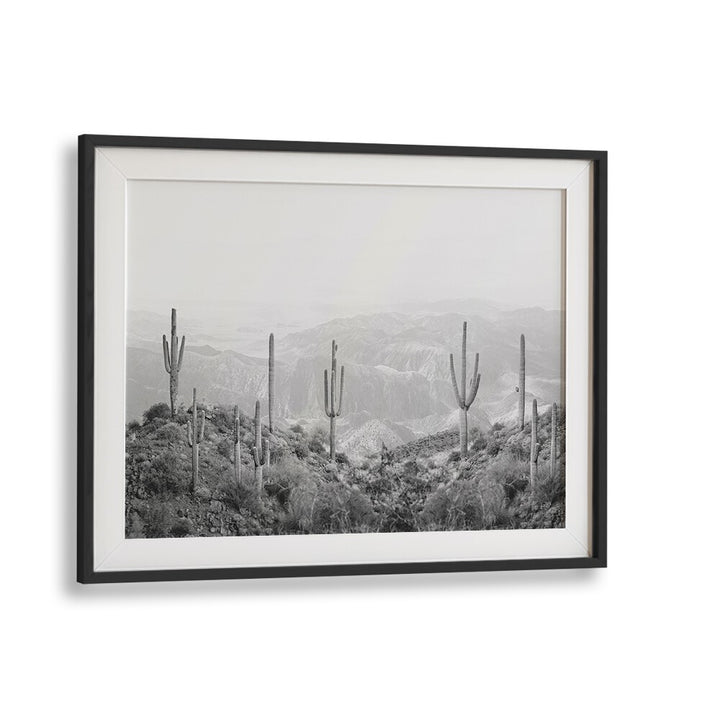 Framed artwork featuring a stunning WESTERN CACTUS, perfect for cowboy-themed decor in any home or garden.