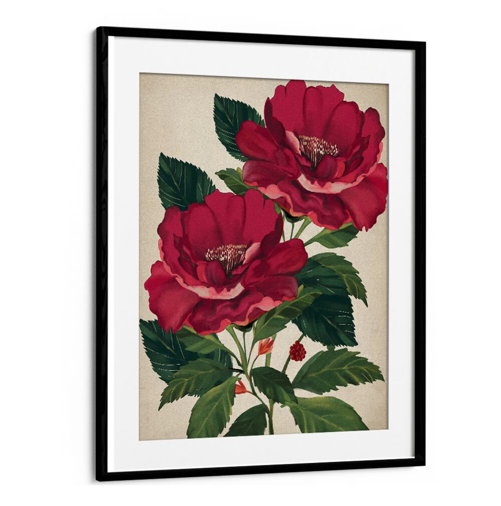 Stunning ROSE OF PROVIDENCE, FLORAL FLOWER PAINTINGS bringing elegance and beauty to your space and spirit.