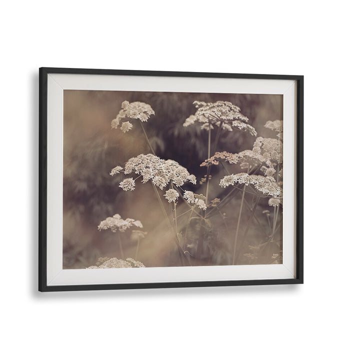Elegant WILD PARSLEY floral flower paintings capturing the beauty and essence of nature for your home decor.