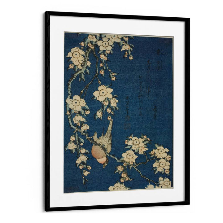 BULLFINCH AND WEEPING CHERRY BLOSSOMS , VINTAGE PAINTINGS