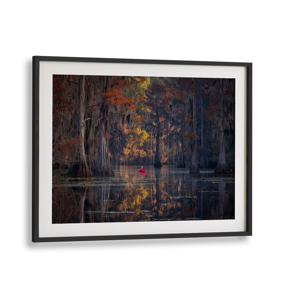 Serene Caddo Lake 2023 landscape with vibrant colors, perfect for your home décor. Explore CADDO LAKE 2023, PHOTOGRAPHY PRINTS.