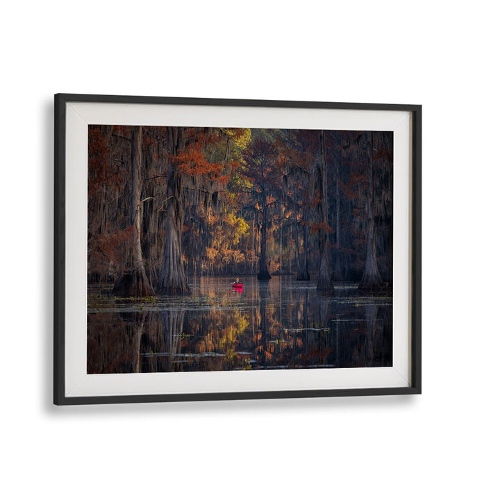 Serene Caddo Lake 2023 landscape with vibrant colors, perfect for your home décor. Explore CADDO LAKE 2023, PHOTOGRAPHY PRINTS.
