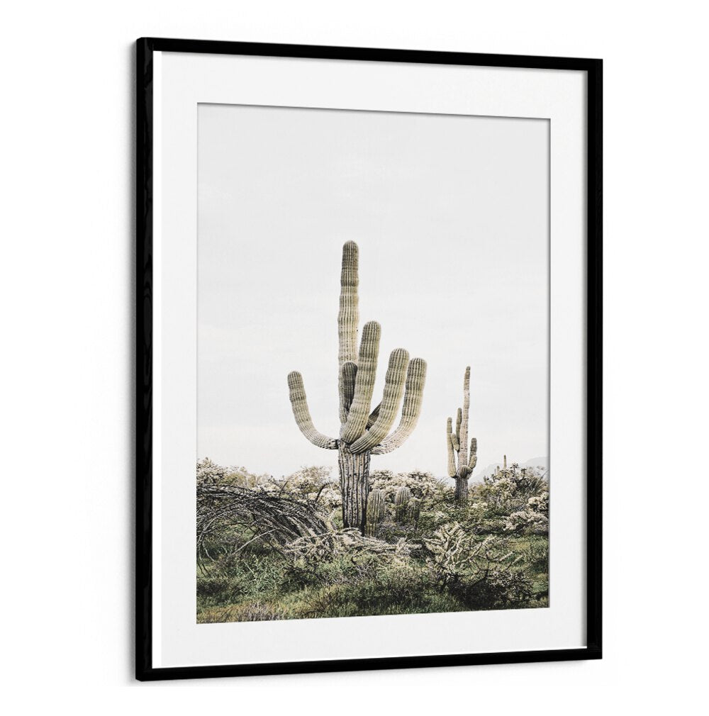 Vibrant PINK SAGUARO, COWBOY decor adds a stylish pop of color, perfect for modern Americana interiors.