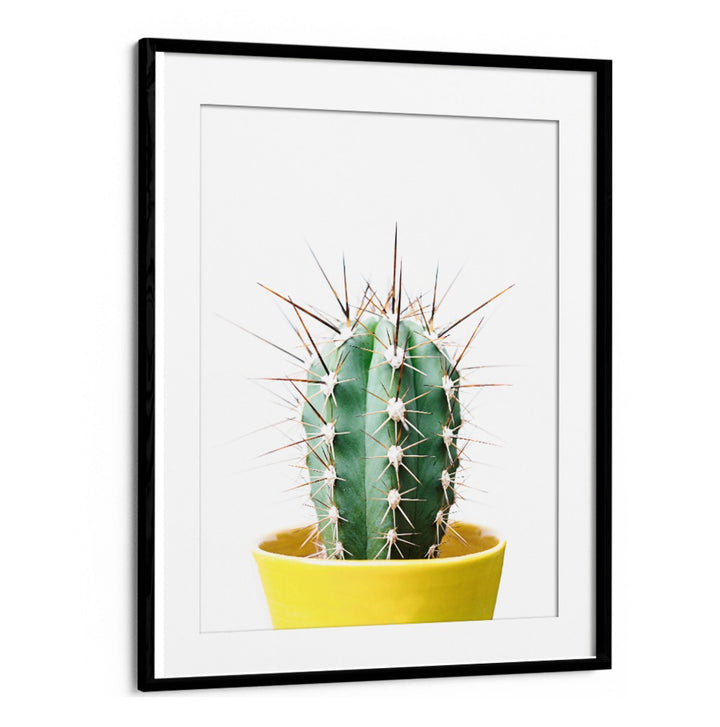 Stunning SPIKEY CACTUS in a vibrant yellow pot, perfect for floral flower paintings and garden decor.