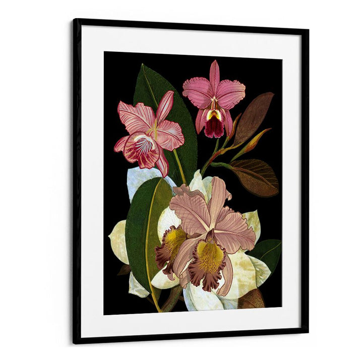 Stunning ORCHIDS II, FLORAL FLOWER PAINTINGS showcase vibrant blooms, perfect for elegant home decor.