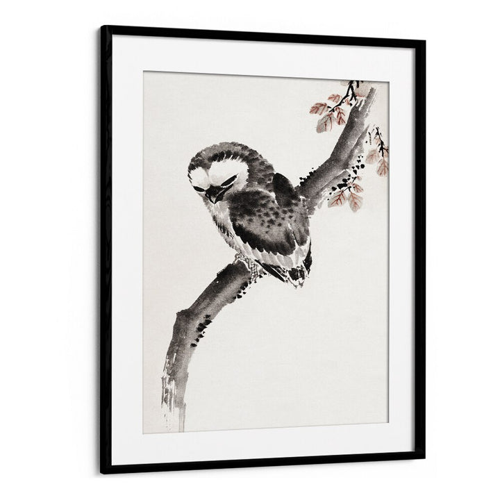 OWL ALBUM OF SKETCHES , VINTAGE PAINTINGS