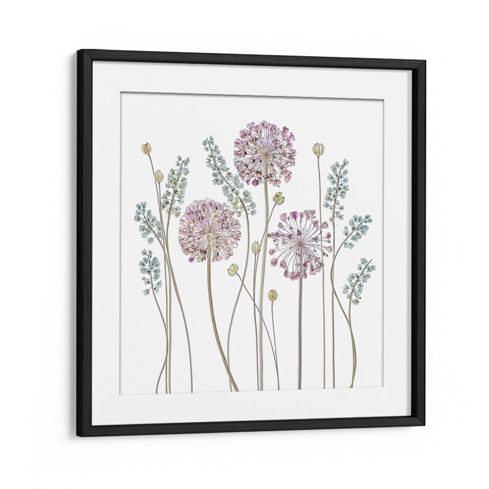 Elegant ALLIUM II, FLORAL FLOWER PAINTINGS showcasing delicate blooms, perfect for enhancing any home décor.