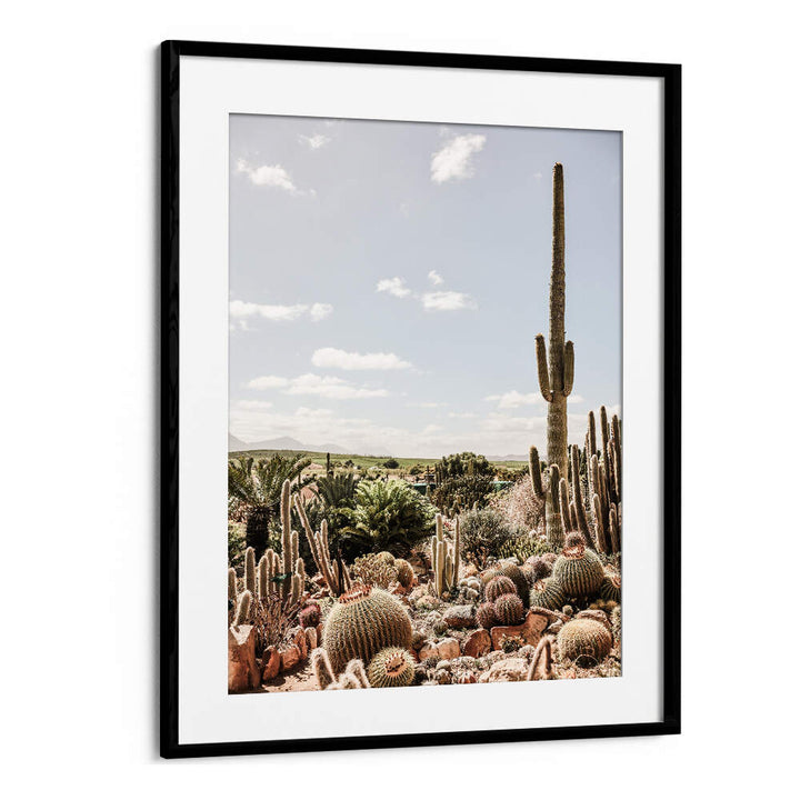 BlackMount framed print DESERT SYMPHONY , COWBOY — sunlit cactus landscape with tall saguaro and barrel cacti