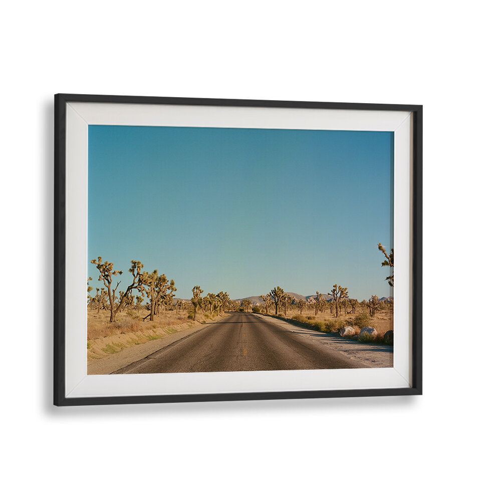 JOSHUA TREE ROAD , PHOTOGRAPHY PRINTS