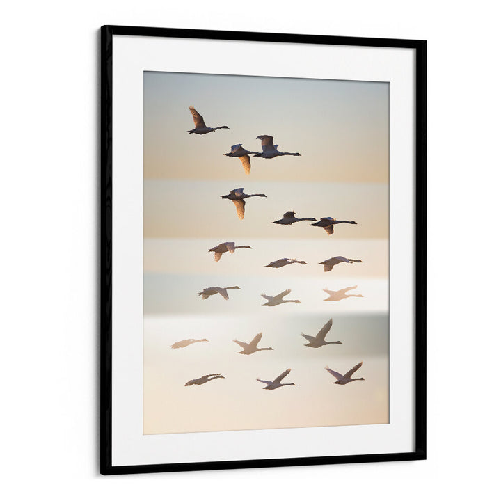 PAST THE SUN , PHOTOGRAPHY PRINTS