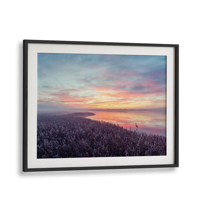 THE HERON'S MORNING VIEW , PHOTOGRAPHY PRINTS