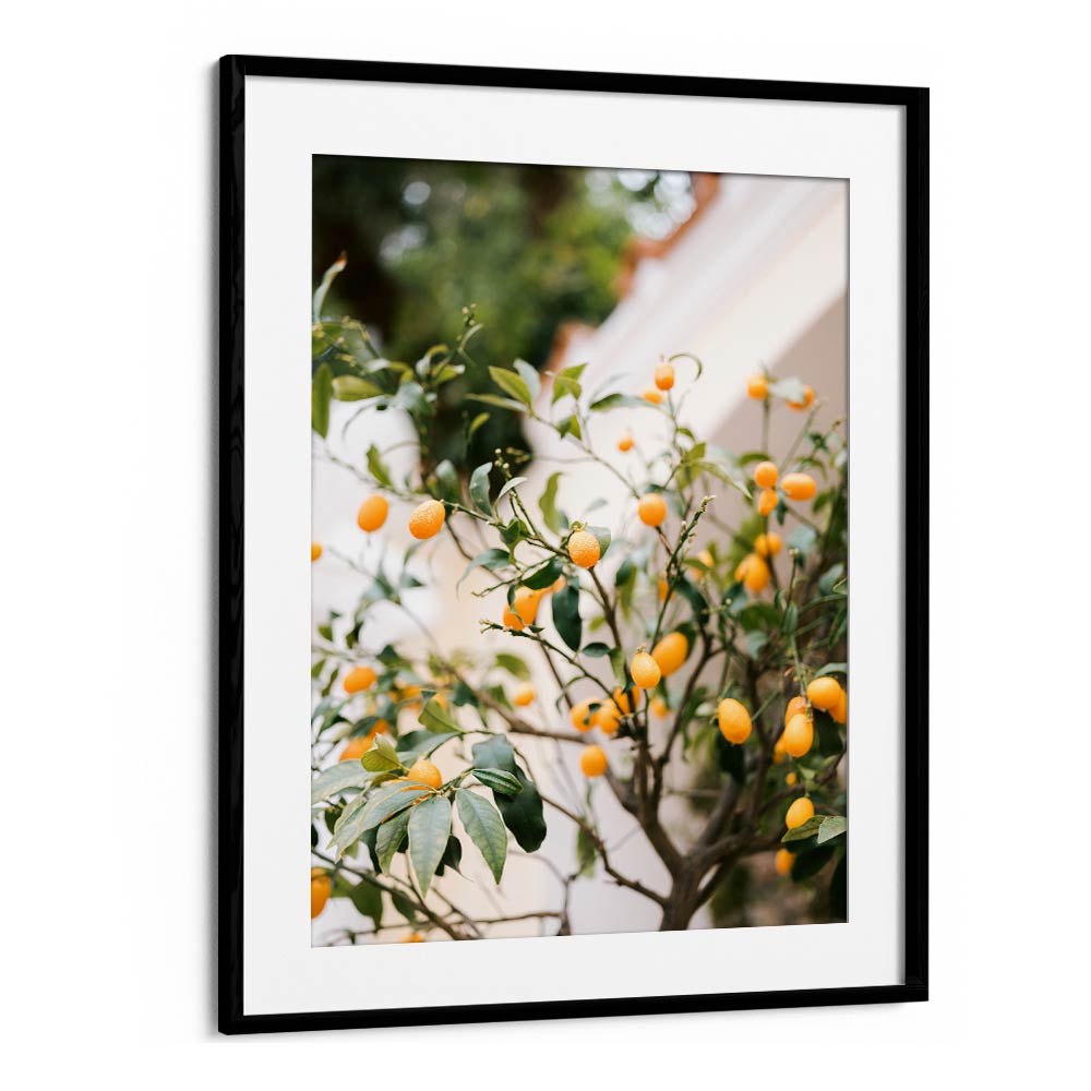 ORANGE CAPRI , PHOTOGRAPHY PRINTS