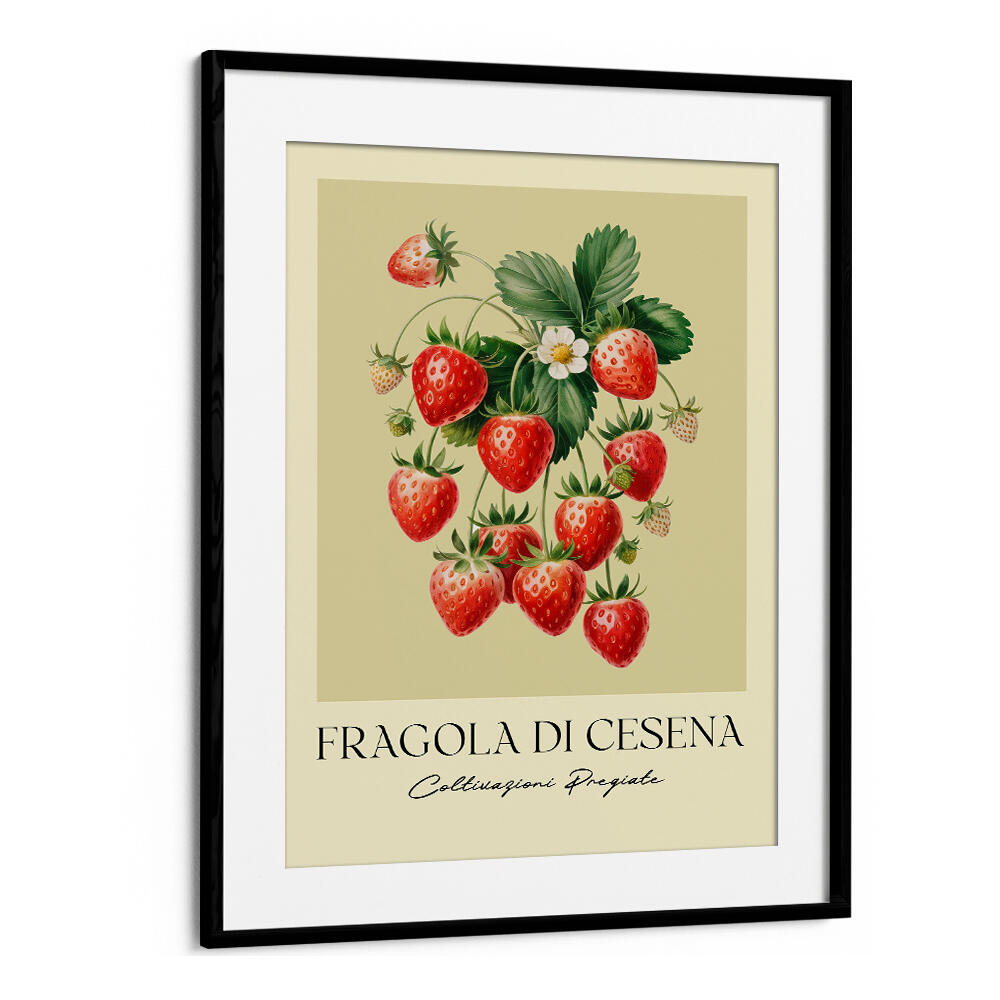 FRAGOLA DI CESENA , FLORAL FLOWER PAINTINGS