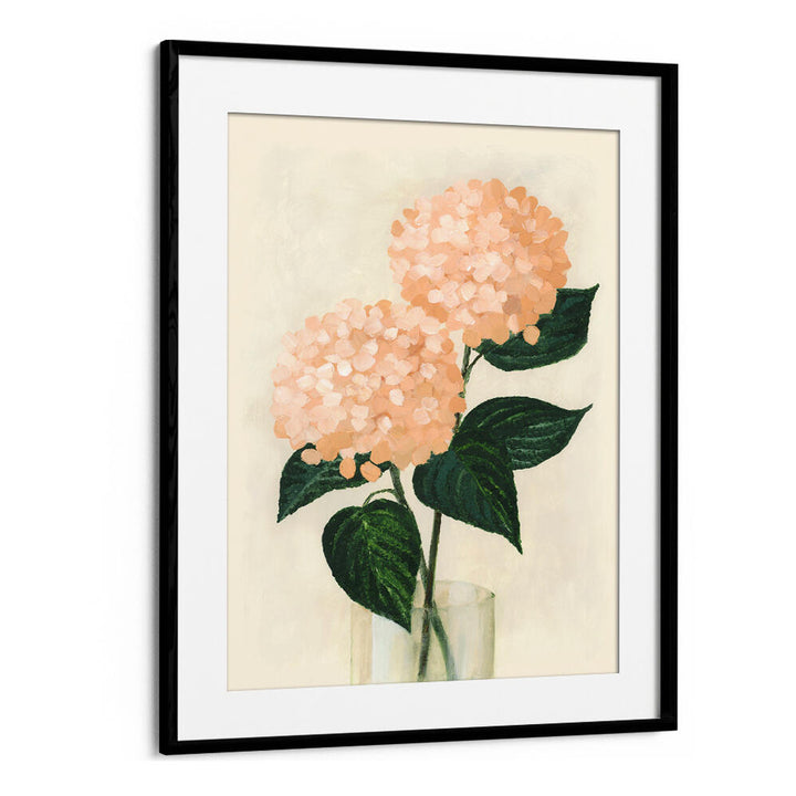 CORAL HYDRANGEAS IN A VASE , FLORAL FLOWER PAINTINGS