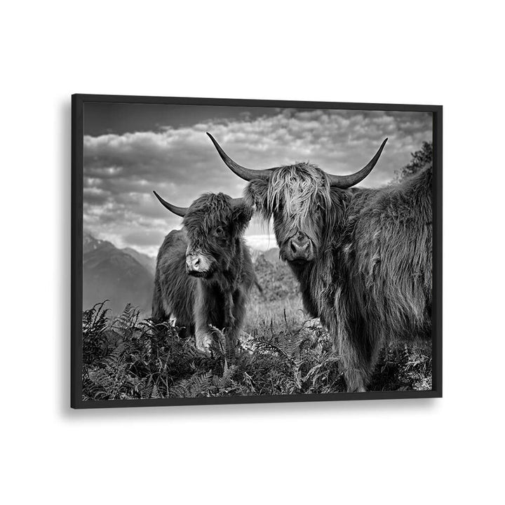 FRIENDS , PHOTOGRAPHY PRINTS