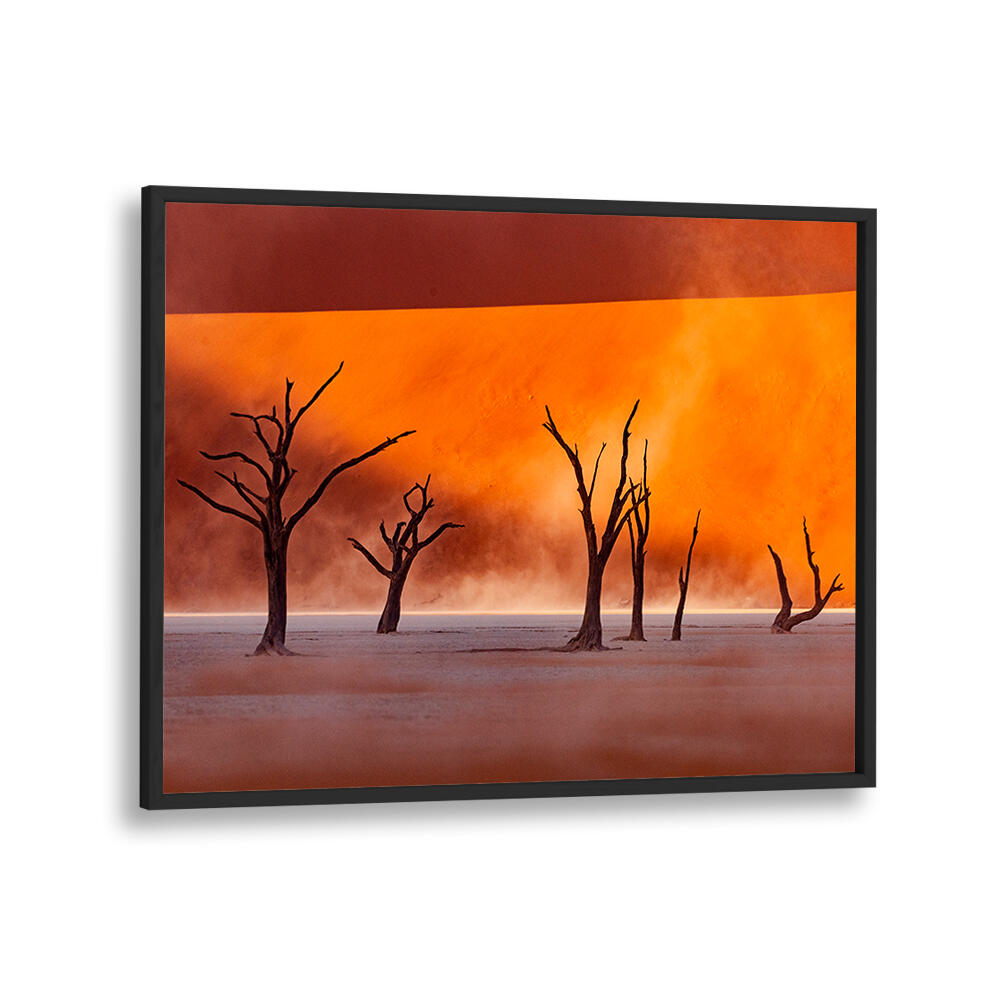 NAMIBIA - THE SPIRIT OF WILDERNESS II , PHOTOGRAPHY PRINTS
