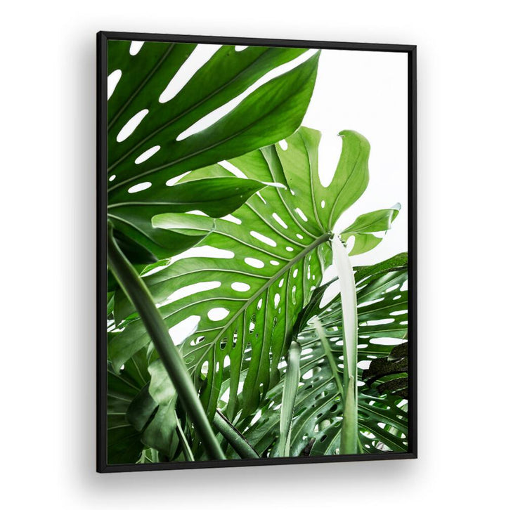 Lush green leaves in a framed art piece, celebrating JUNGLE, FLORAL FLOWER PAINTINGS for nature lovers.
