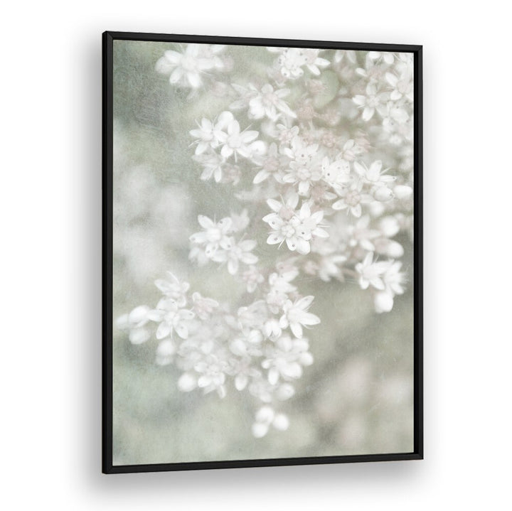 Delicate white florals softly blend in the FADING, FLORAL FLOWER PAINTINGS, enhancing any decor with elegance.