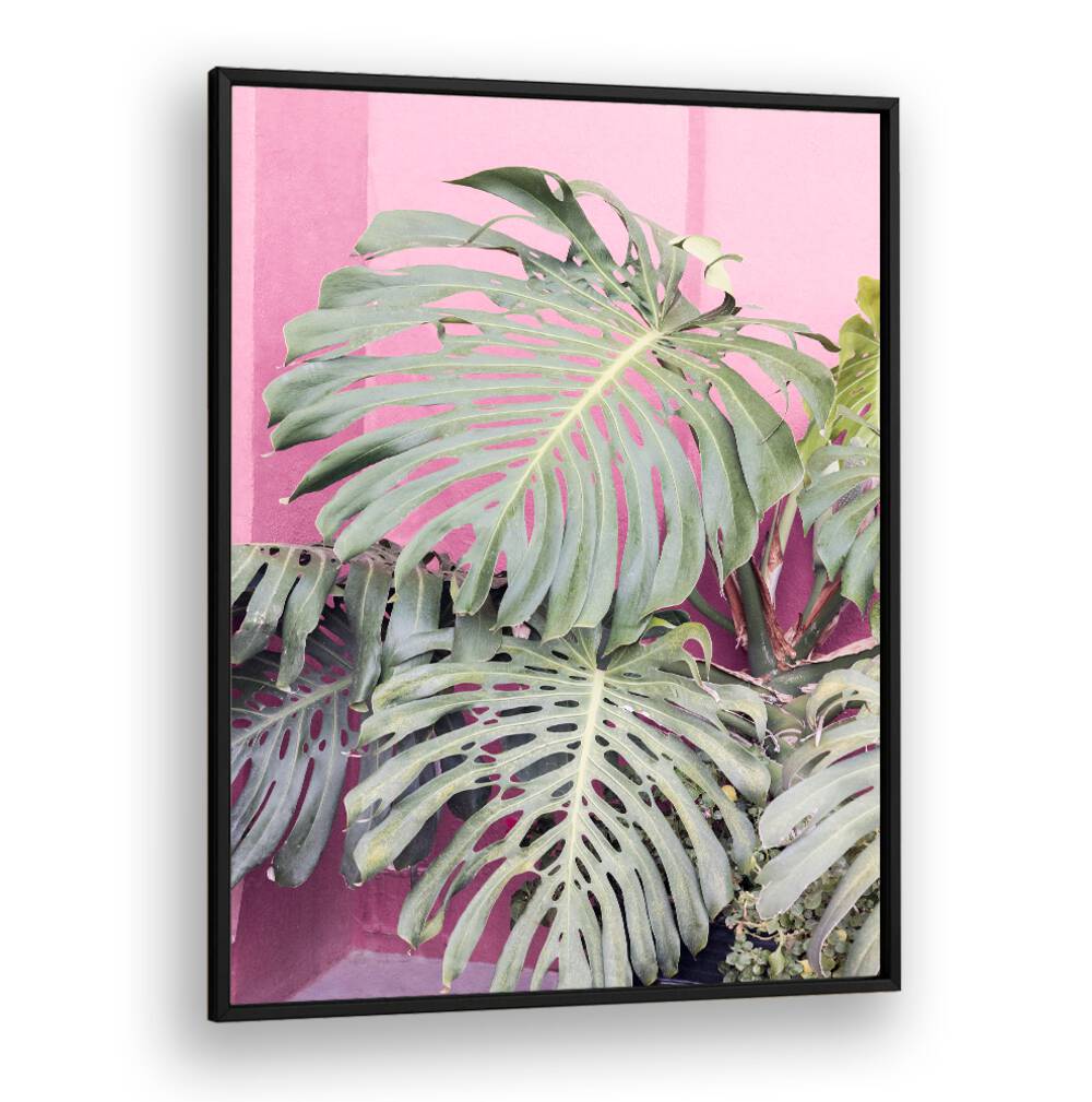 Stunning MONSTERA LEAF LA MURALLA, FLORAL FLOWER PAINTINGS bring tropical beauty to your home decor.