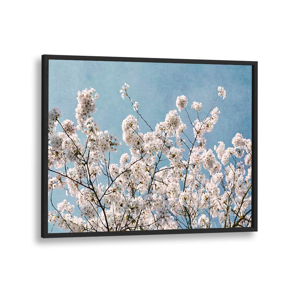 Stunning BLUE SKY BLOSSOMS, FLORAL FLOWER PAINTINGS showcase blooming flowers against a serene blue backdrop.