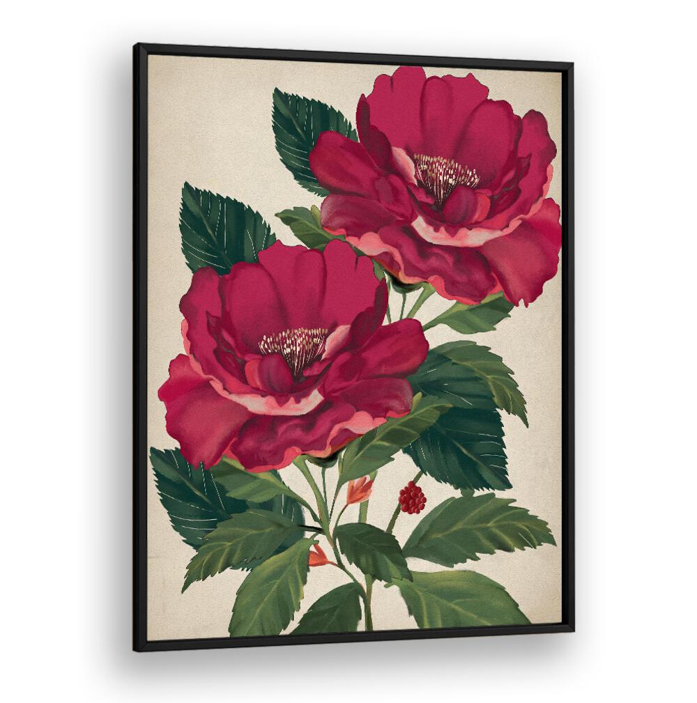 Stunning ROSE OF PROVIDENCE, FLORAL FLOWER PAINTINGS, elevating your space with elegance and beauty. Perfect gift!