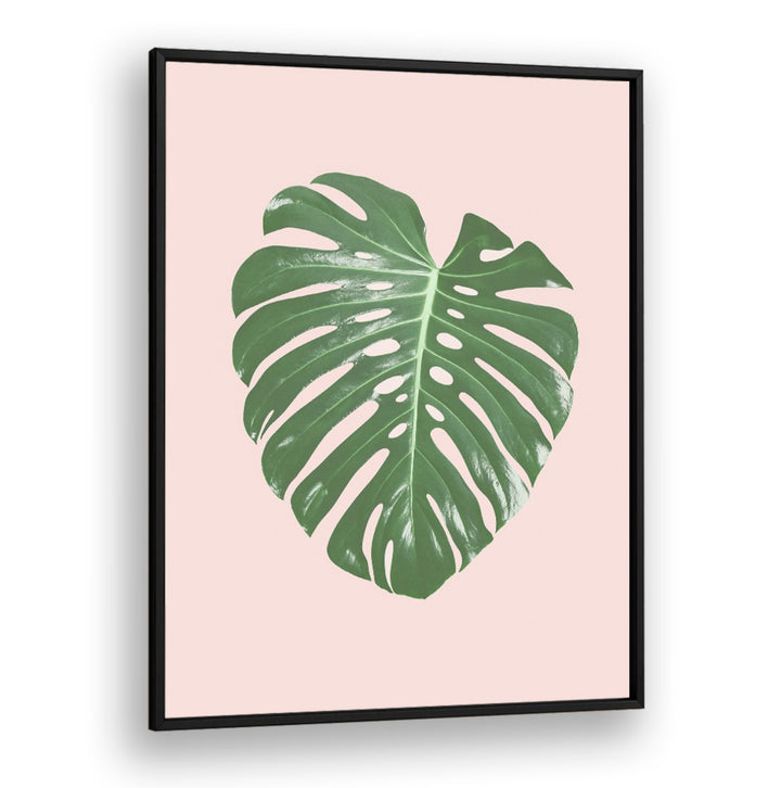 Stylish MONSTERA LEAF BLUSH, FLORAL FLOWER PAINTINGS add tropical elegance to any space, perfect for home decor.