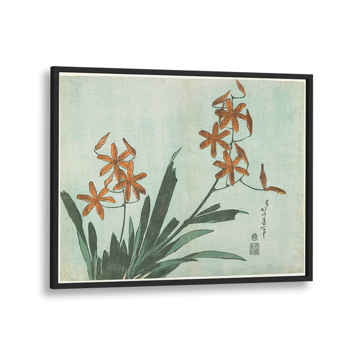 BLACKBERRY LILY , VINTAGE PAINTINGS