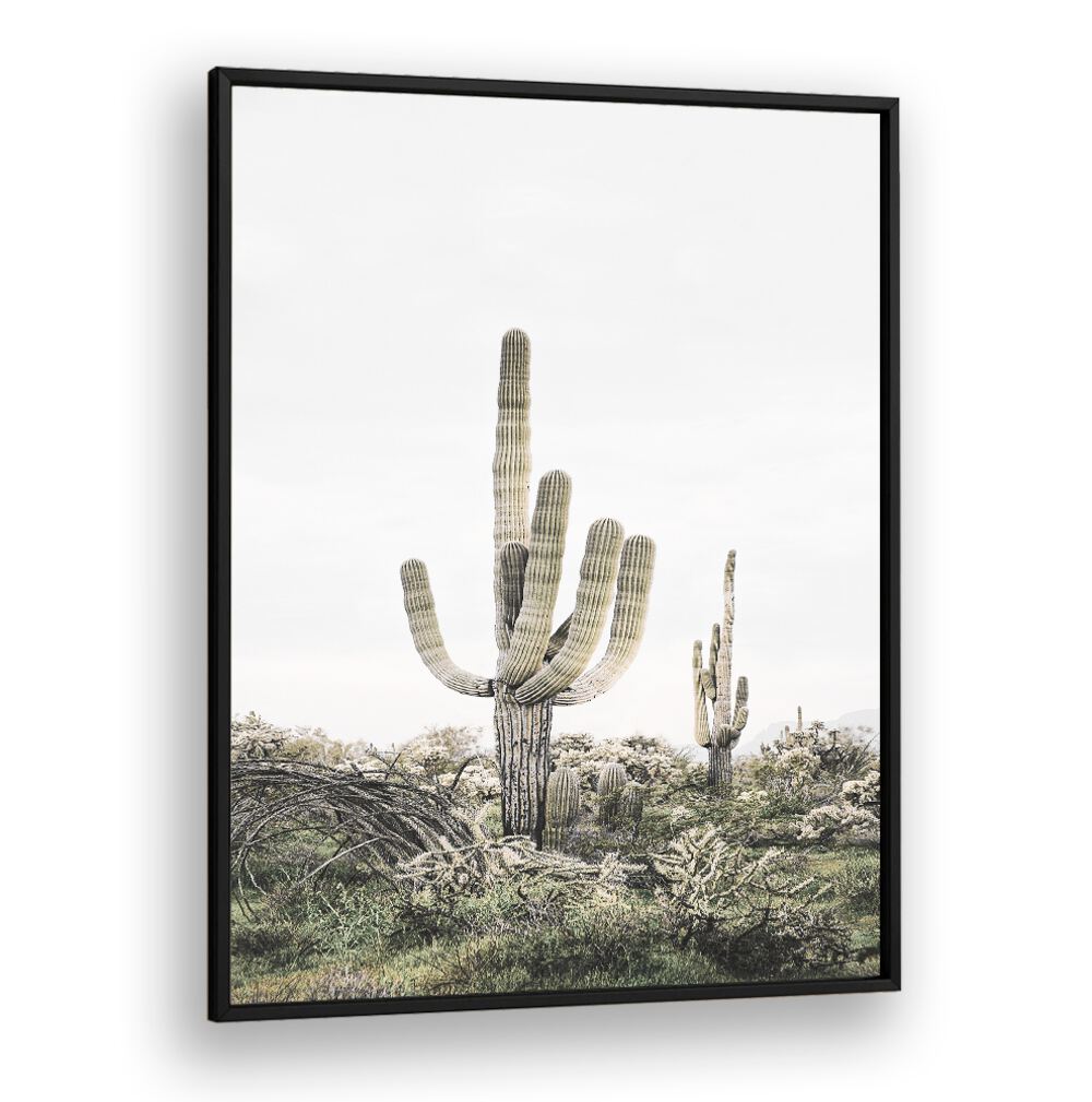 Vibrant PINK SAGUARO, COWBOY painting adds a stylish touch to any decor, showcasing modern Americana artistry.