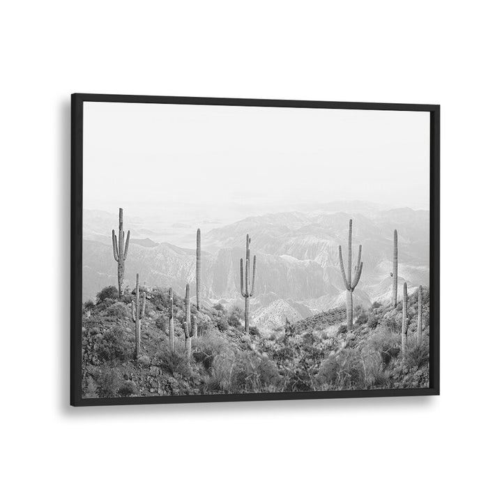 Stunning WESTERN CACTUS, COWBOY artwork showcasing desert beauty, perfect for home or garden decor.
