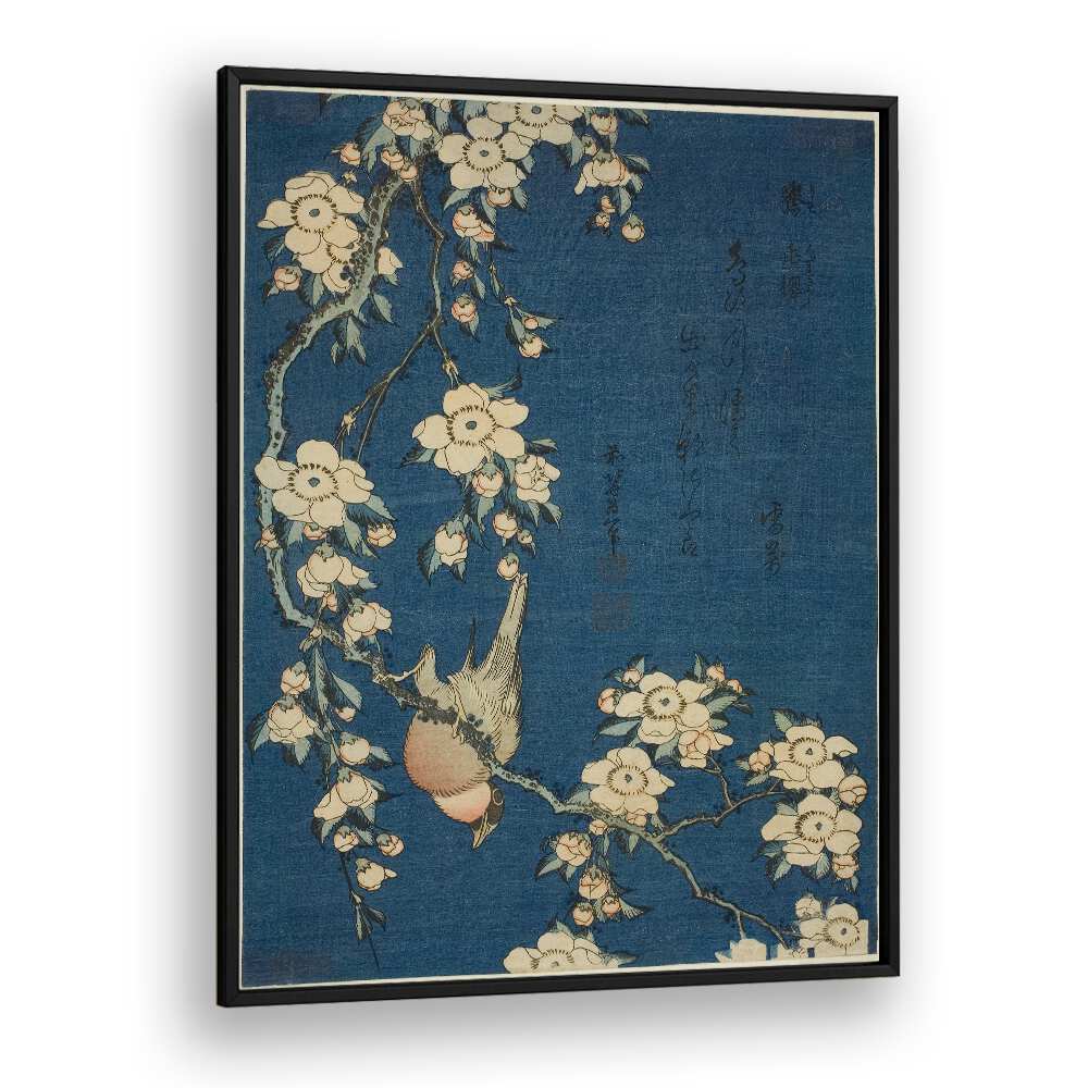 BULLFINCH AND WEEPING CHERRY BLOSSOMS , VINTAGE PAINTINGS