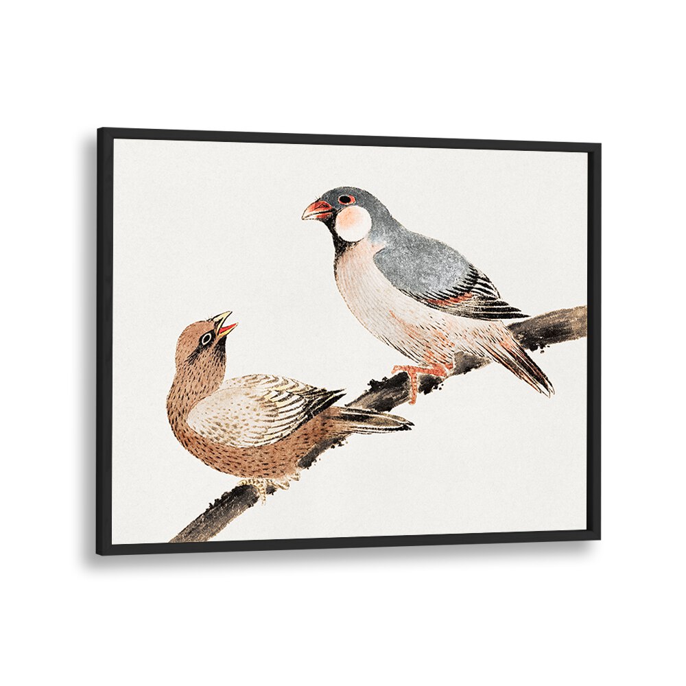 BIRDS FROM ALBUM OF SKETCHES (1814) , VINTAGE PAINTINGS