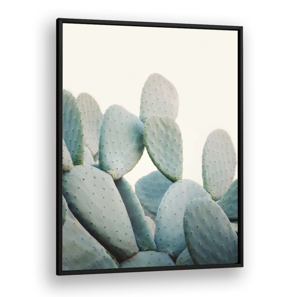 Vibrant PASTEL CACTI , FLORAL FLOWER PAINTINGS enhance your home decor with a stylish desert touch. Perfect for plant lovers!