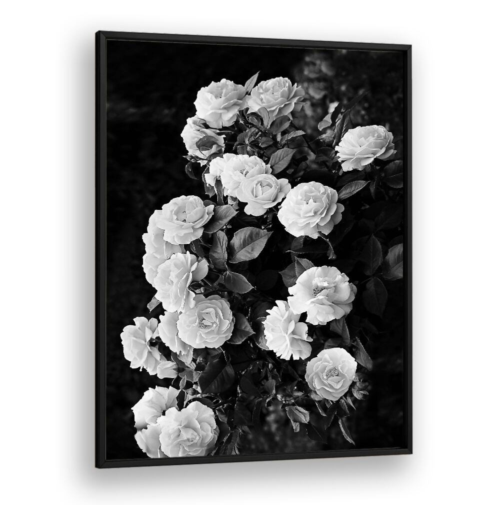 Elegant ROSE BUSH, FLORAL FLOWER PAINTINGS showcasing stunning blooms for a vibrant garden transformation.
