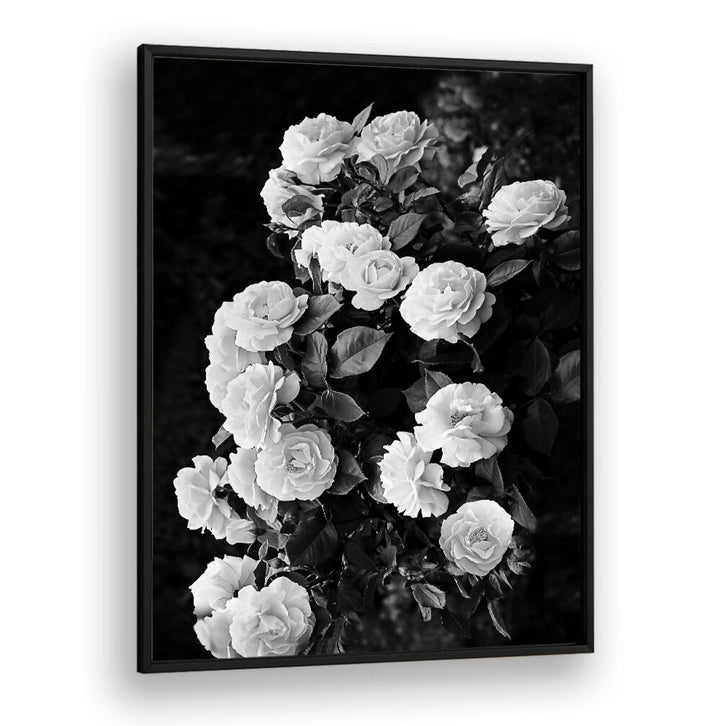 Elegant ROSE BUSH, FLORAL FLOWER PAINTINGS showcasing stunning blooms for a vibrant garden transformation.