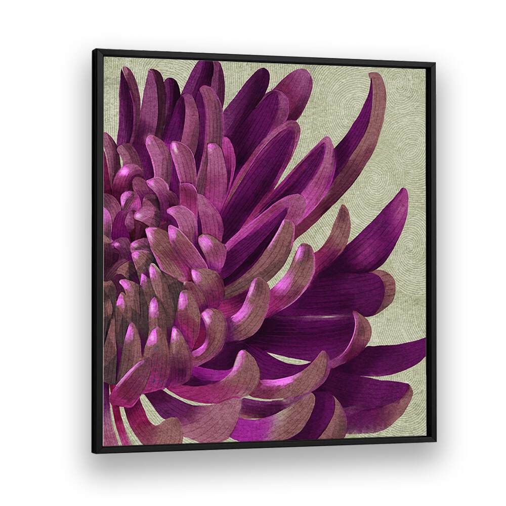 Vibrant CHRYSANTHEMUM PURPLE, FLORAL FLOWER PAINTINGS bring rich hues to brighten your home and garden.