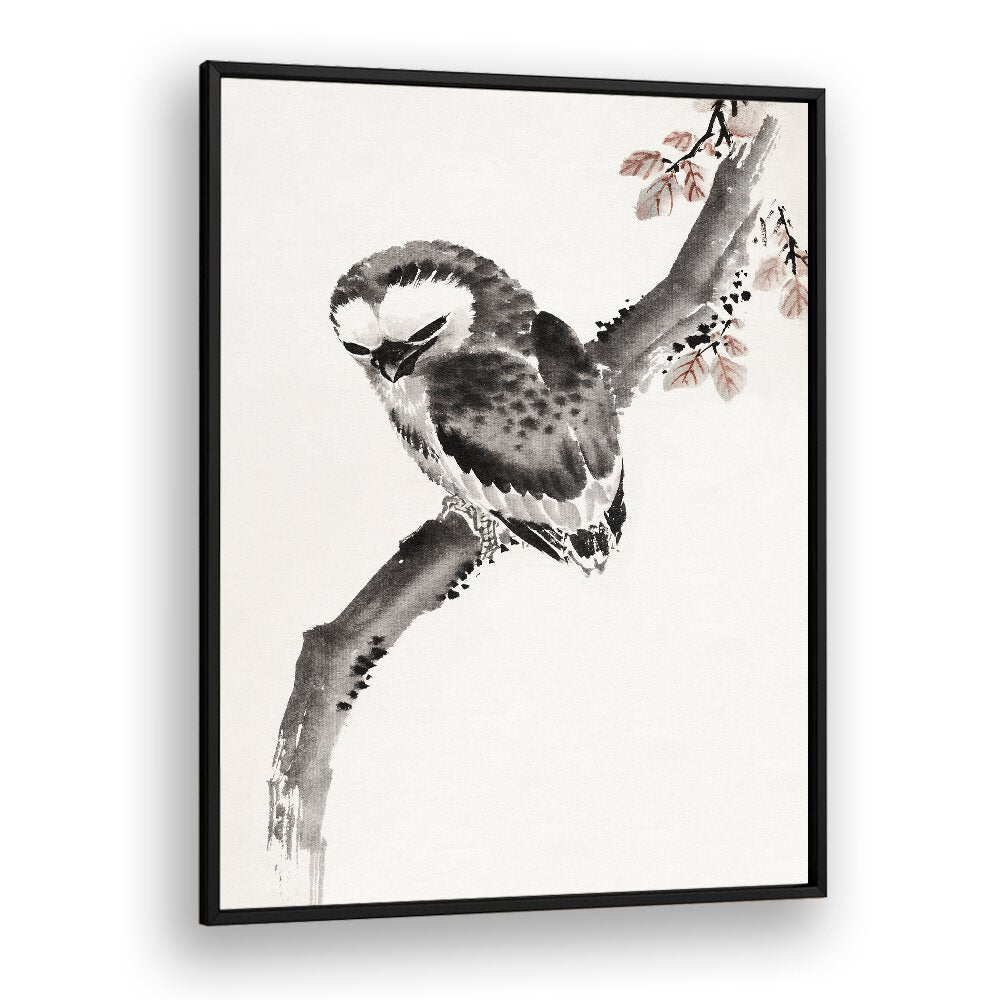 OWL ALBUM OF SKETCHES , VINTAGE PAINTINGS