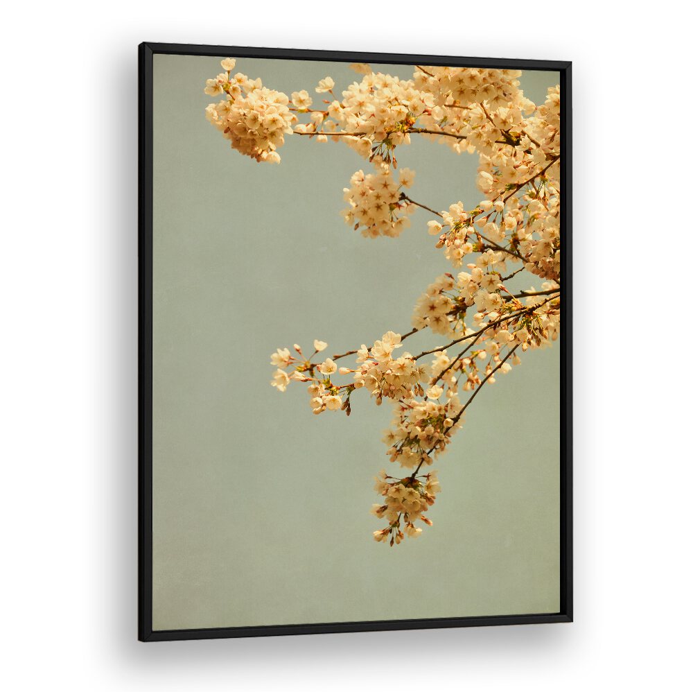 Delicate blossoms against a muted backdrop in SPRING MORNING, FLORAL FLOWER PAINTINGS, capturing spring's essence beautifully.