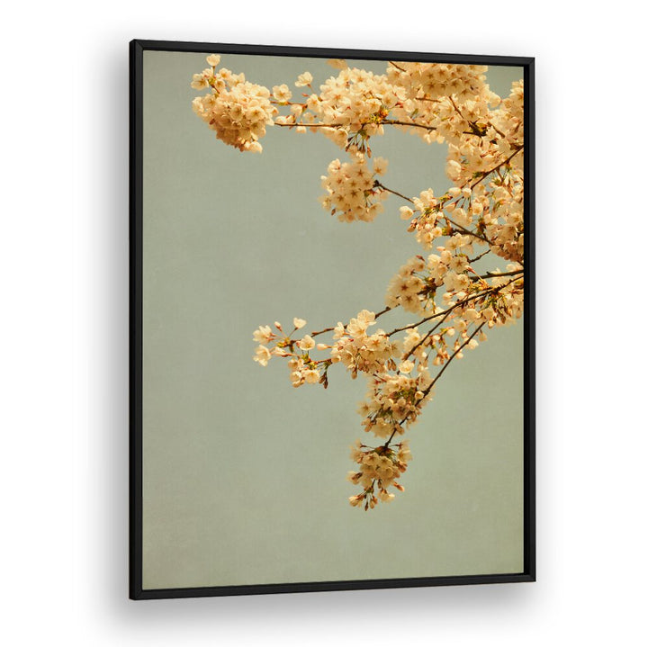 Delicate blossoms against a muted backdrop in SPRING MORNING, FLORAL FLOWER PAINTINGS, capturing spring's essence beautifully.