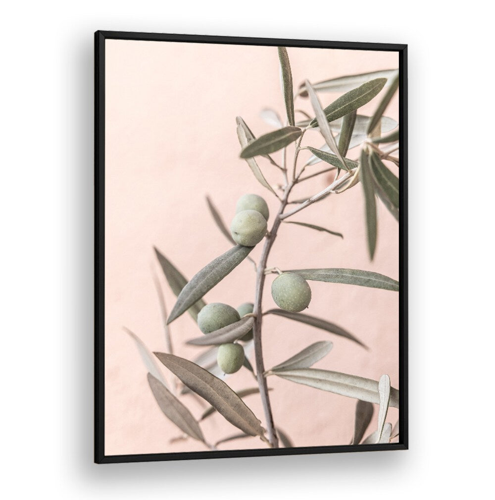 Elegant OLIVES , FLORAL FLOWER PAINTINGS showcasing handpicked olives against a soft pastel background. Perfect decor!